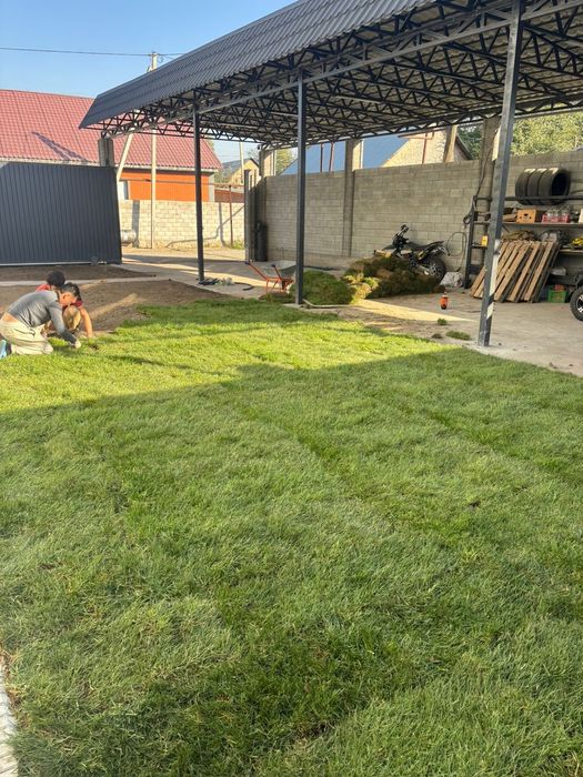 Газон живой рулонный только премиум качества купить у нас