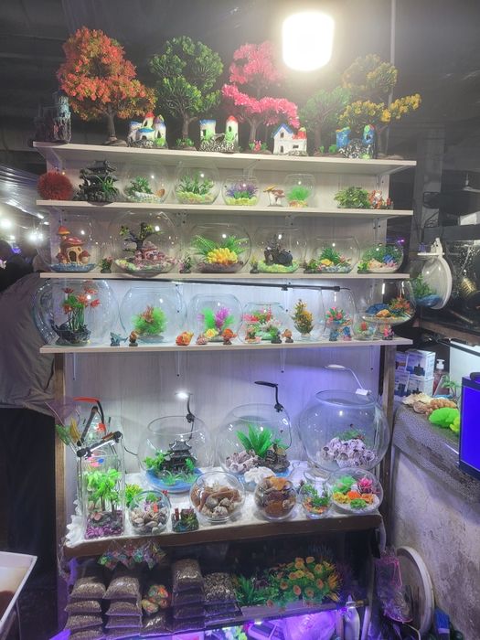 Круглые Аквариумы