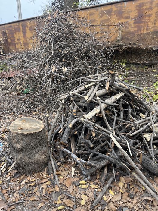 Отдам дрова, самовывоз. Бесплатно