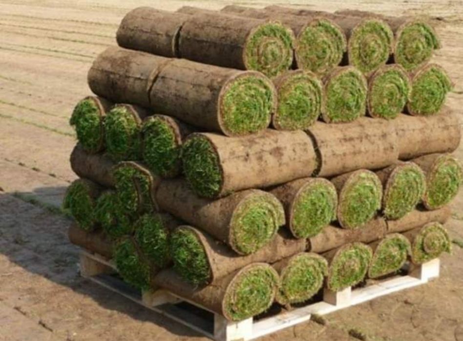 Gazon rulou premium calitate extra