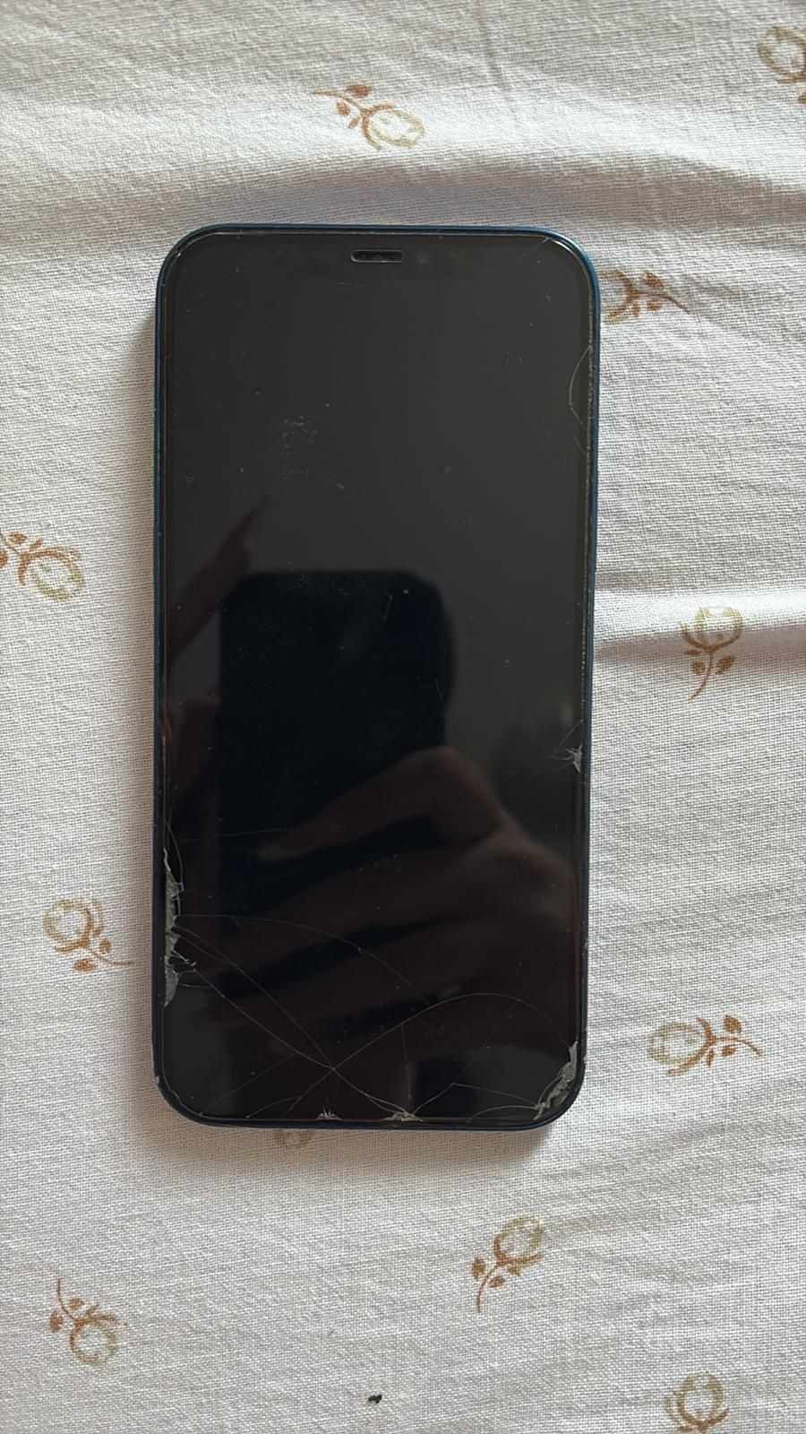 iPhone 12 64 giga
