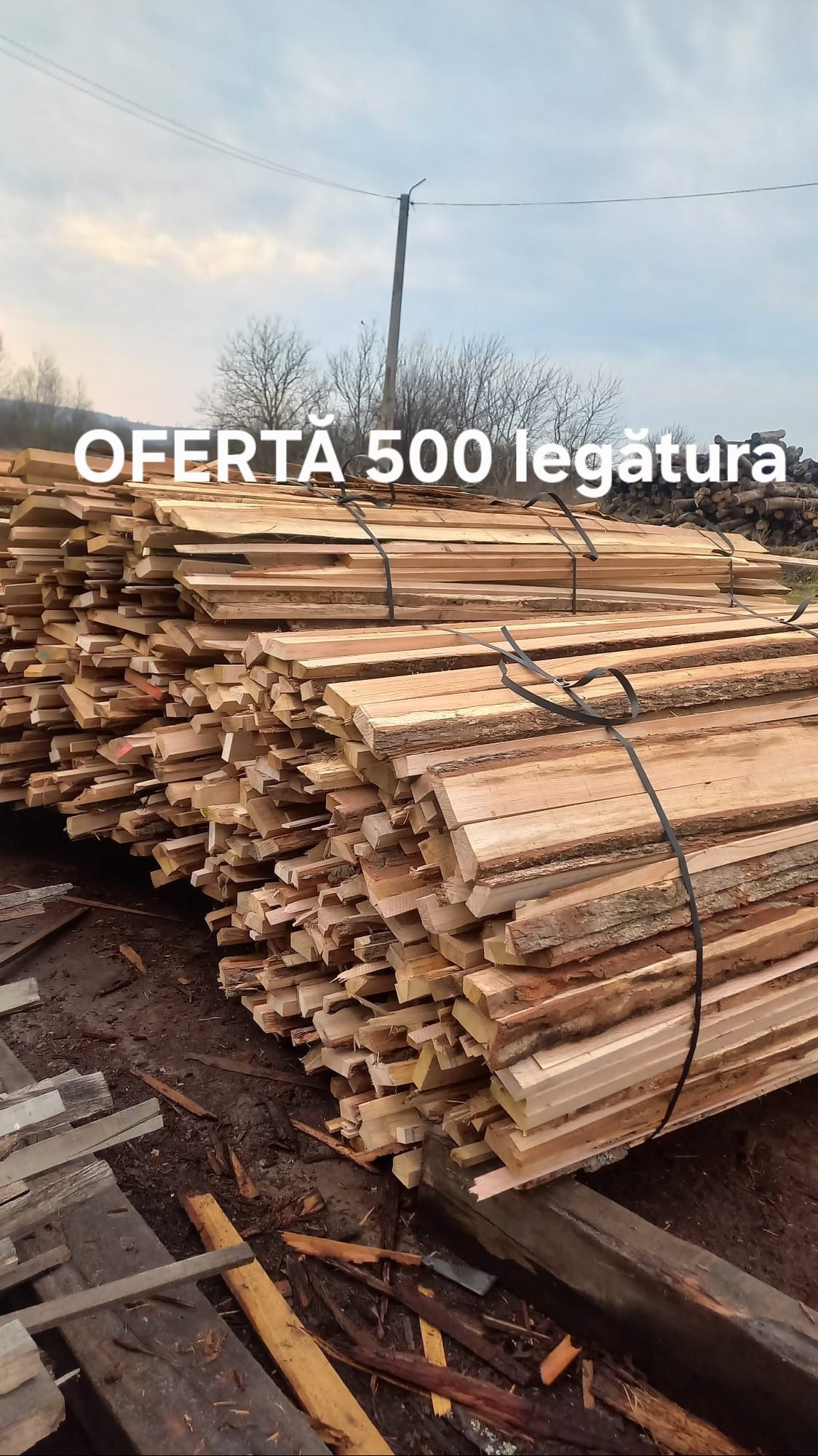 Lemne de foc din esență tare  Marginare sau Deșeuri la legătură