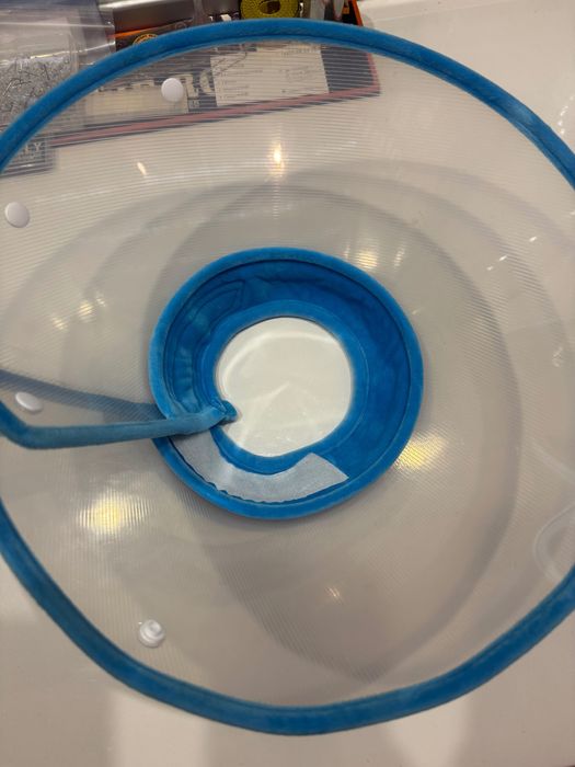 Яка за домашни любимци