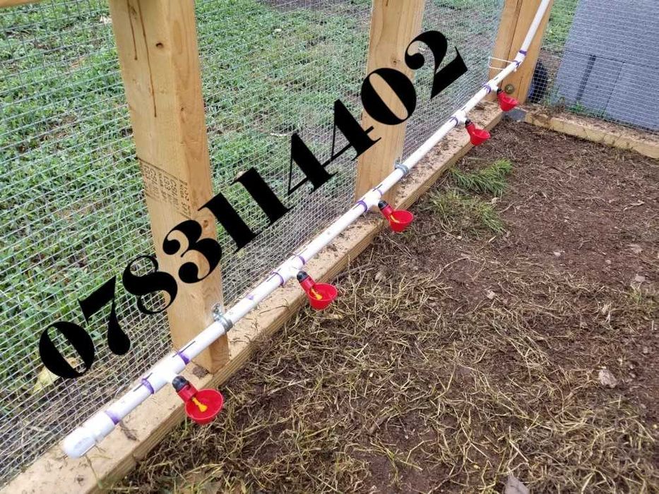 Gaini rate gaste prepelite porumbei curci fazani pasari-ADAPATORI - 6G