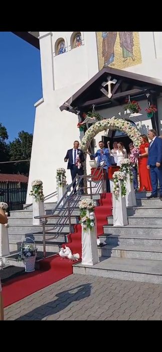 Porumbei albi pentru nunţi