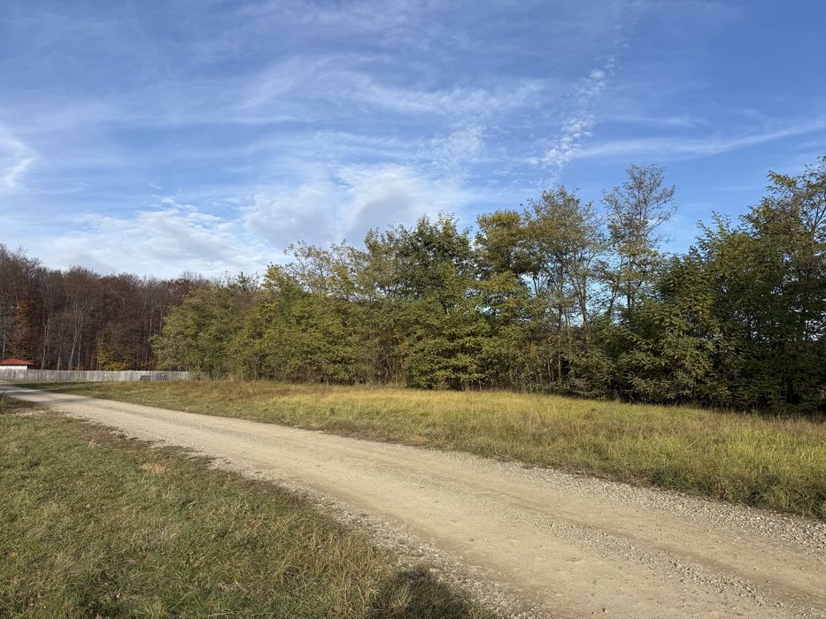 Vand teren in Dragomirna 2.002 mp