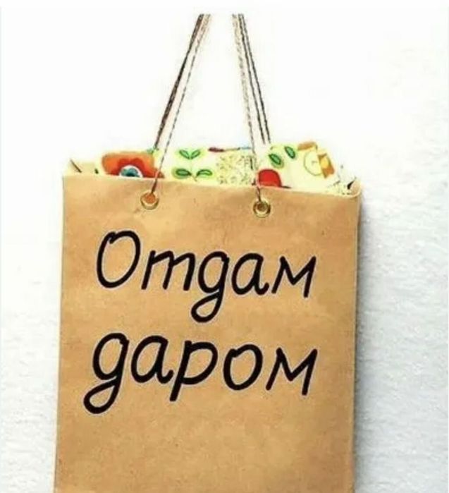 Отдам бесплатно! Вещи 52,54 размер разные.