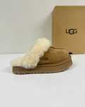 Ugg W  Disquette