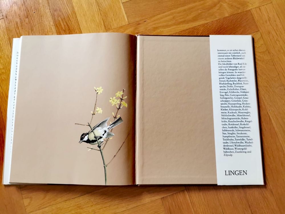 Книга за птиците Нашият красив птичи свят >36 завладяващи картини !
