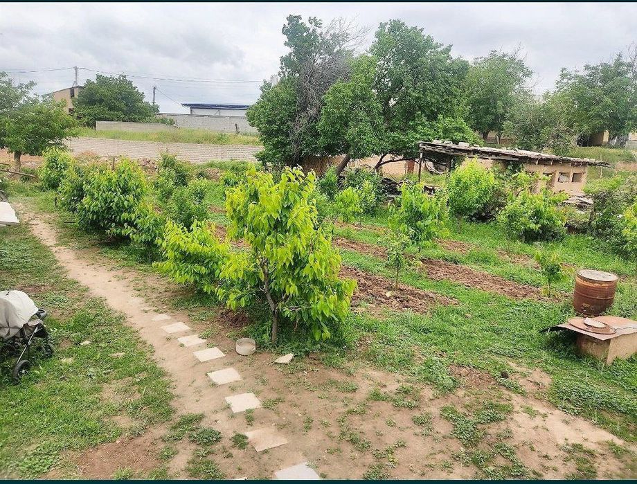 Toshkent tumanida 5 soʻtik boʻsh yer sotiladi