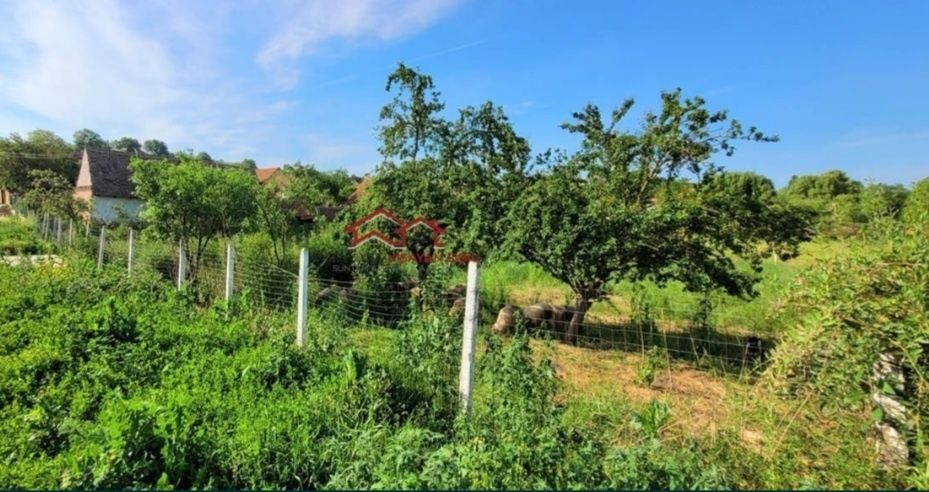 Casă cu teren intrav. Armeni