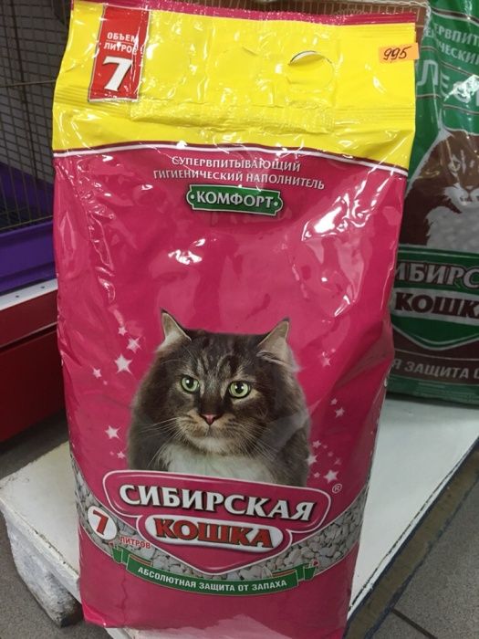 Сибирская кошка3л