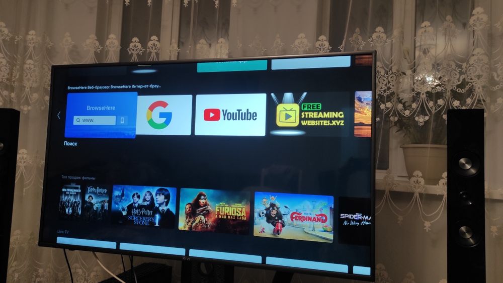 Телевизор 55 дюймов (140см).