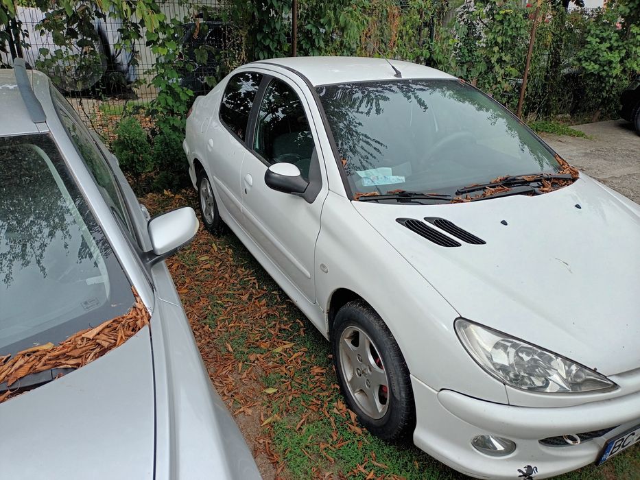 Volvo V50 + Peugeot 206