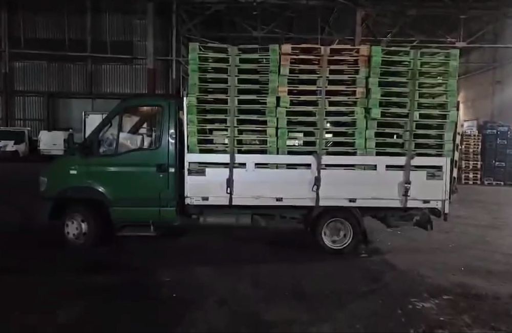 Палета/скари 1-1.2м