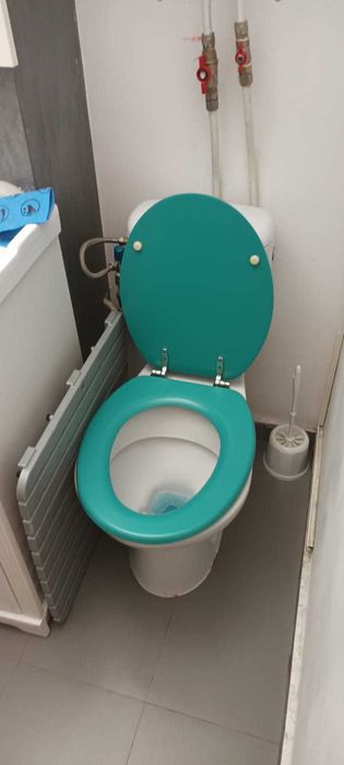 Servicii de curățenie, Amenajare gradini, curti, Desinsectie cu Abur