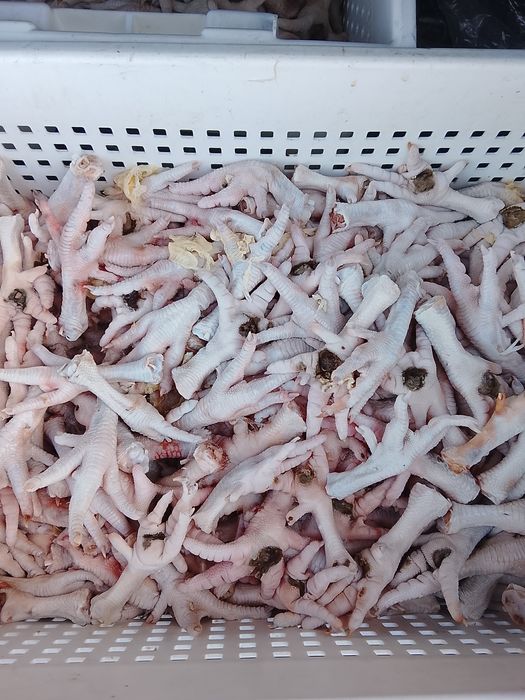 Продам куриные лапки для собак , недорого, с доставкой