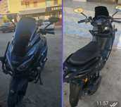 Wassat Sports Tiger