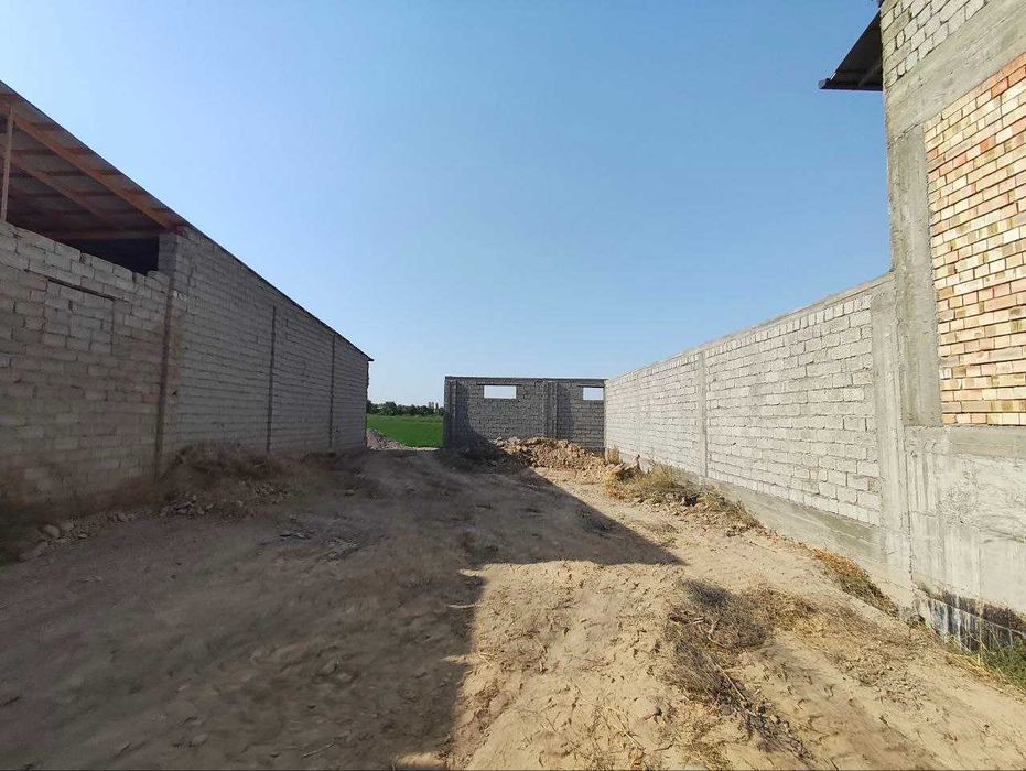 Ер 3,1 сотих, Зангиота Эркин постдан утканда, катта йулга 500 метр