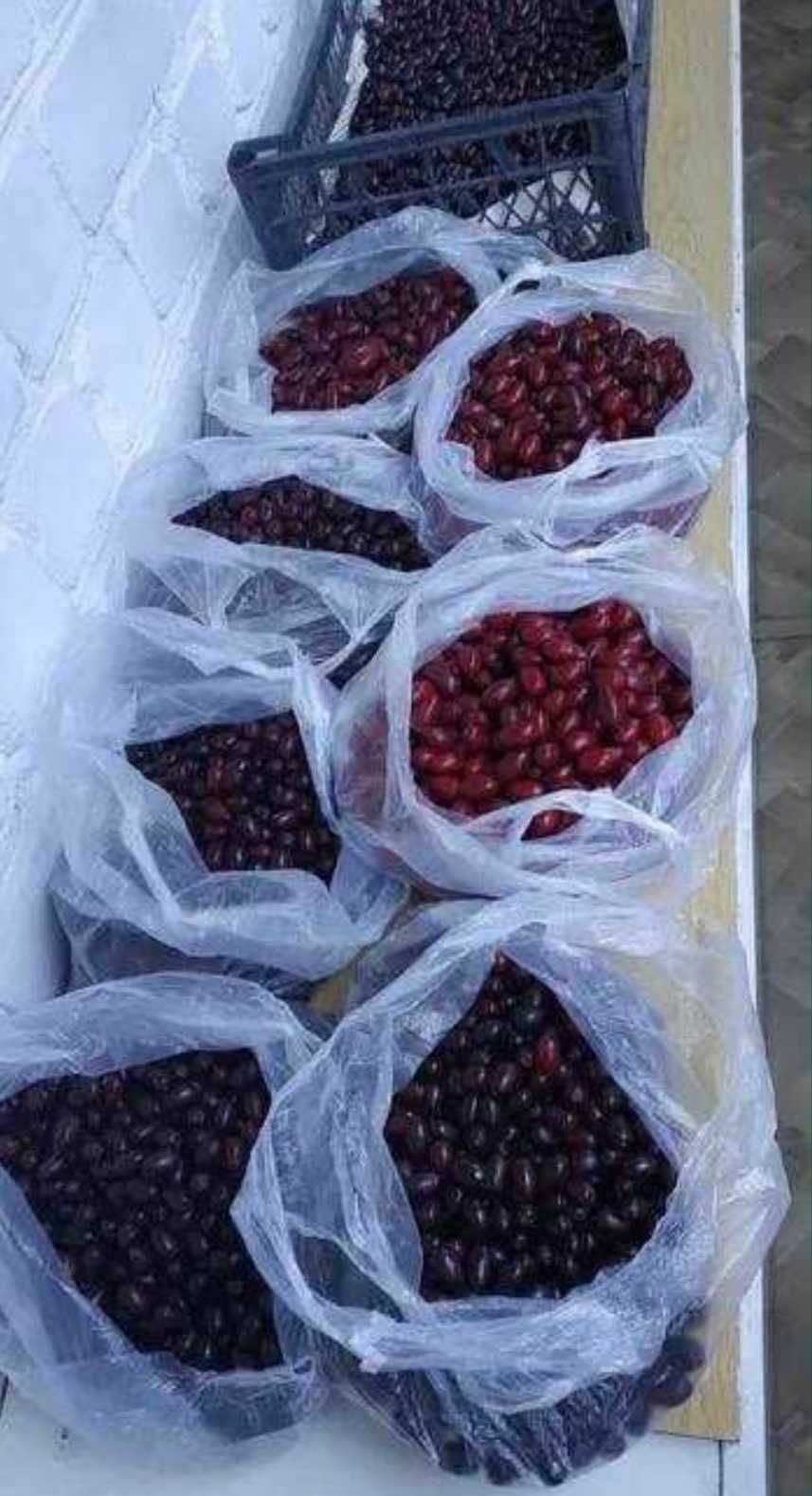 Саженцы Кизила свой садовый не дикушка!