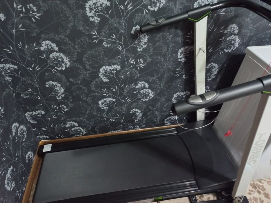 Беговая  дорожка