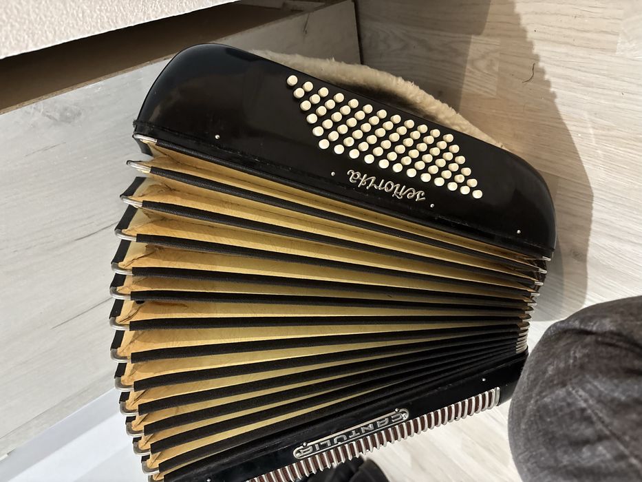 Vand acordeon Cantulia cu 72 de basi