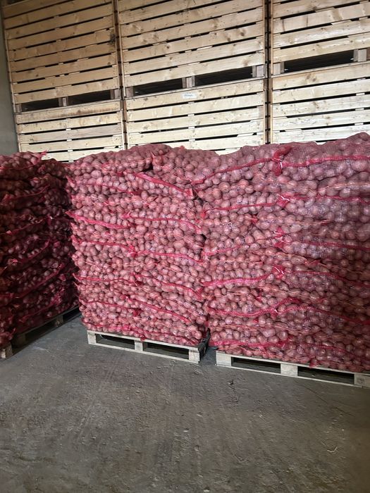 cartofi roșii și albi