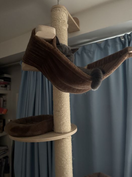 Vand turn pisici pentru apartament (inalt aprox 2,5 m)