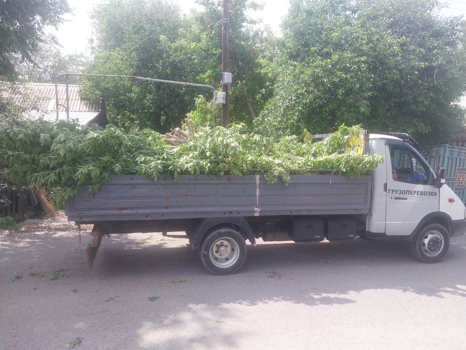 Вывоз мусора Вывоз хлама вывоз матрас Вывоз веток