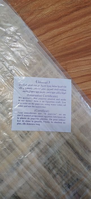 Papirus original Egipt