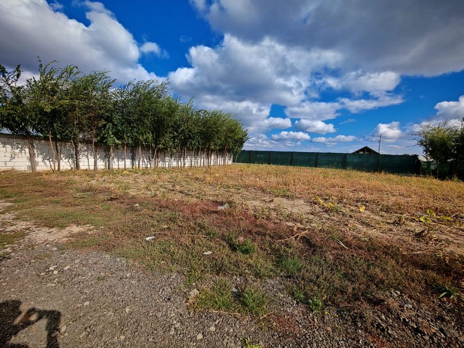 Vand teren Cazasu 500 mp cu utilități  Apa curent și gaze