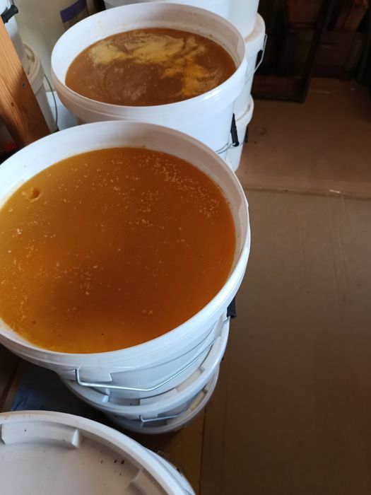 miere poliflora de calitate