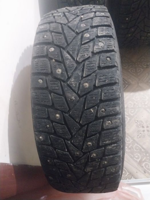 Зимные шины дунлоп