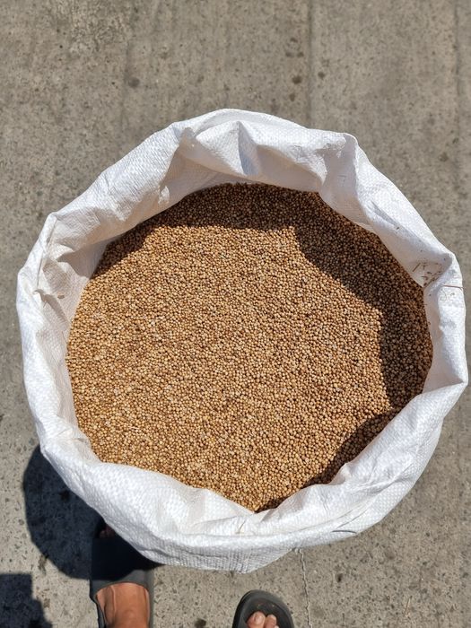 Продавам заготвен кориандър и семена