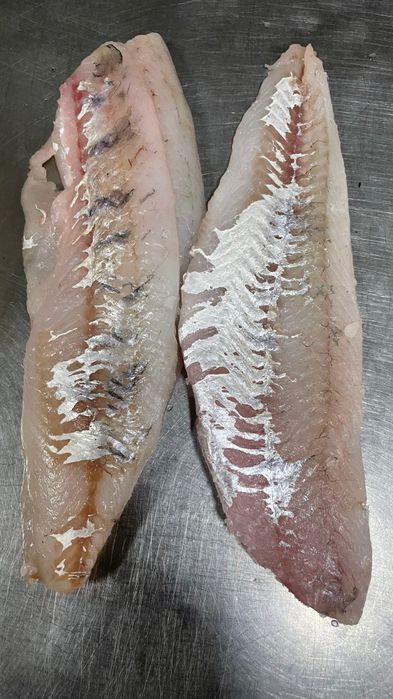 Филе, рыба судак