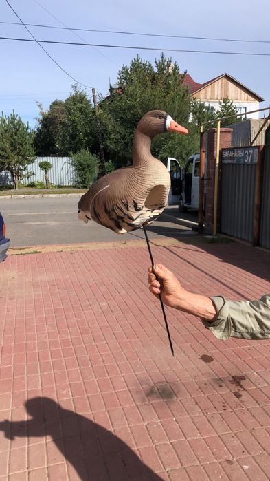 Профиль гусей для охоты