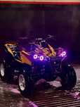Can am renegade 800R