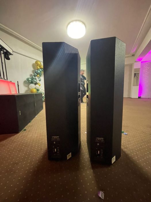 Vand Nexus-Acoustics - VX212 (copie dynacord vl 212)