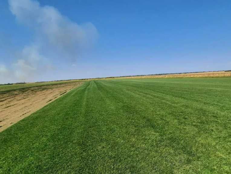 Gazon Verde Intens – Sistem de Irigare și Lucrare Completă