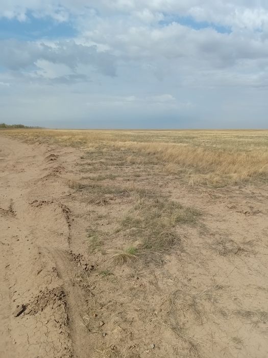 Кх продаётся  имеется  водоём
