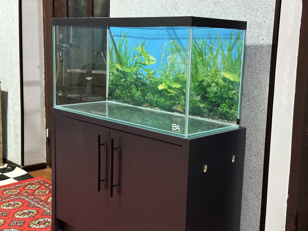 Bek Aquarium 200L