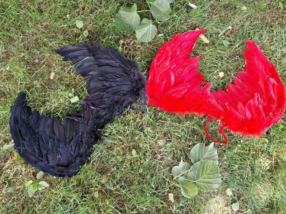 ARIPI fulgi pene COPII imparateasa regina printesa inger fluture zana