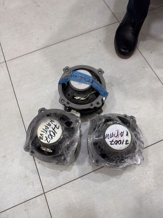 Captiva kalonka  arginal.