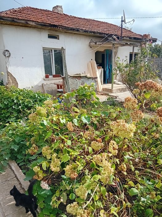 Продава се Парцел в с. Петково, Област София-област - 700 кв.м за 89 €/кв.м - Снимка #6