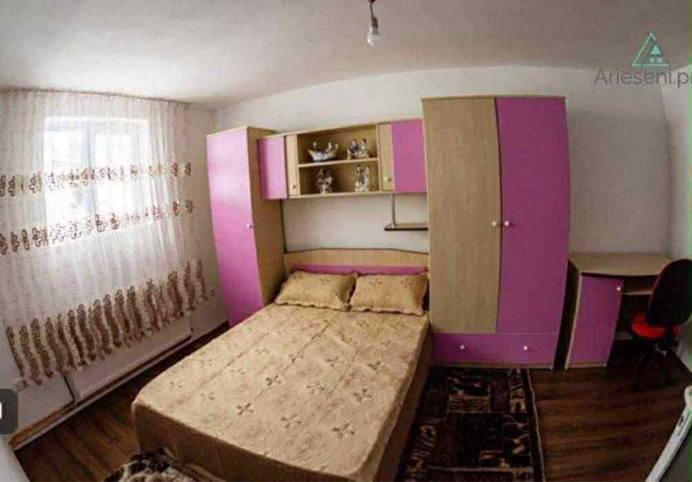 Cabana Daria Cosmina Arieseni