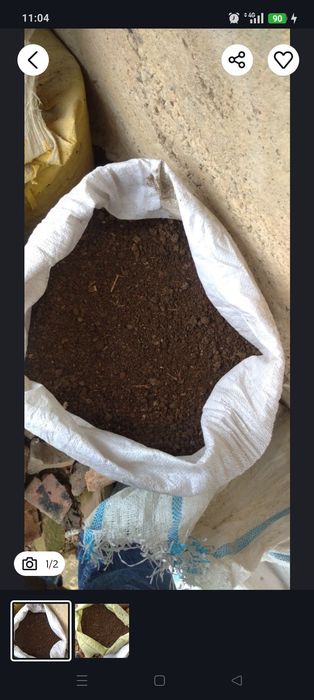 Goʻng bor quyniki agarodga ishlatishga