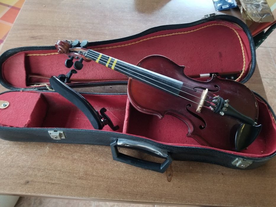 Vioara 1/4 Hora Reghin