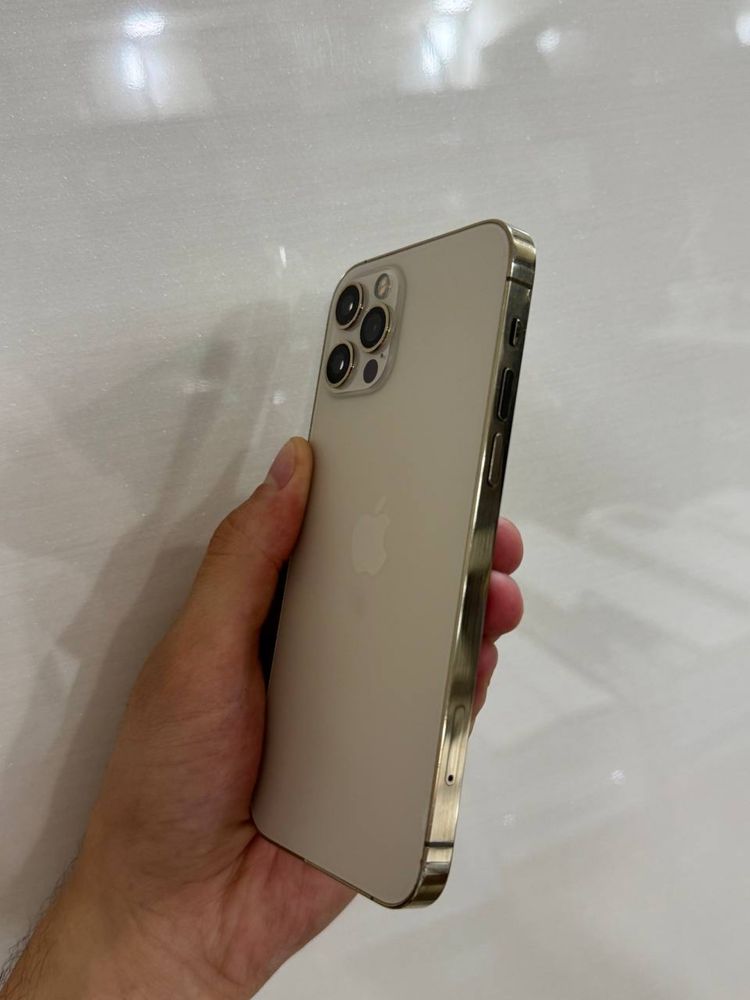 Iphone 12 pro xolati ideal 10/10