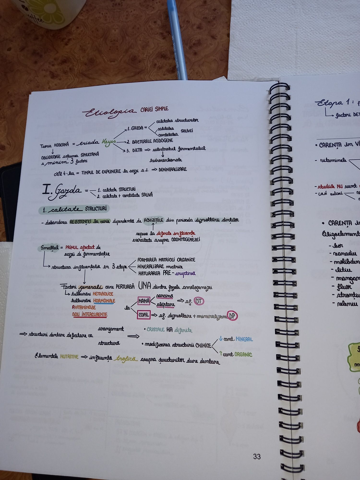 Manual de Rezidentiat
