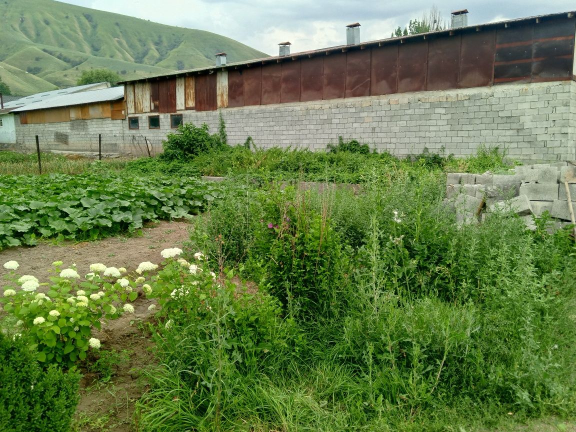 Продам дом с Азат